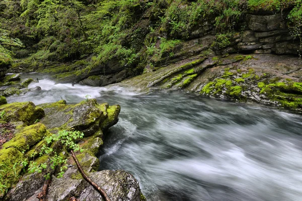 Flowing water in the gorge — Stock Photo, Image