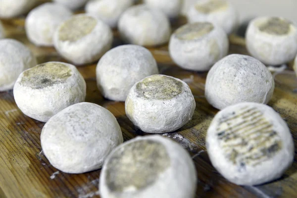 Well ripened goat cheeses — Stock Photo, Image