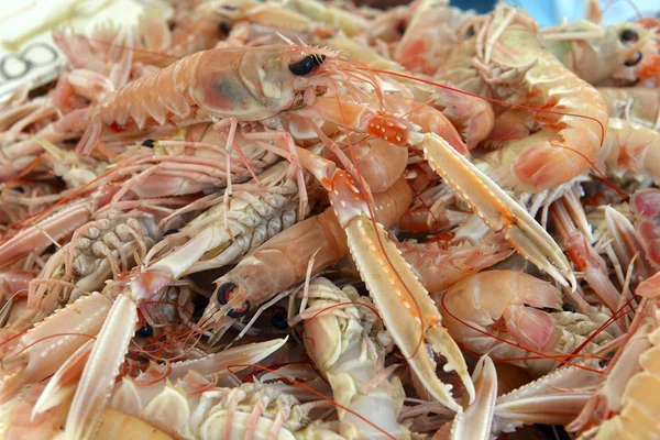 Scampi frescos para la venta en un mercado —  Fotos de Stock