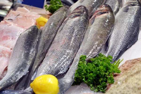 Showcase of seafood in the sea market — Stock Photo, Image