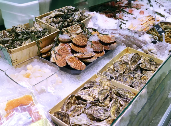 Showcase of seafood — Stock Photo, Image