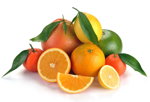 Uppsättning av citrusfrukter med blad — Stockfoto