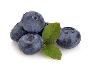 yaban mersini ve yeşil yaprak