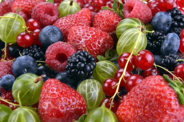 Different fresh berries — Stock Photo, Image