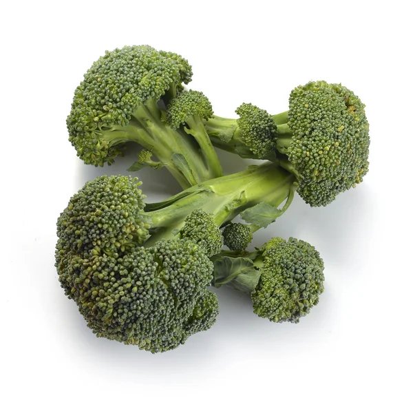 Broccoli vegetabiliska — Stockfoto