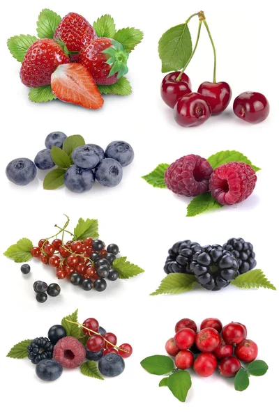 Set of berries — Stock Photo, Image