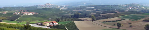 Panorama höstlig vinodlingar i Toscana — Stockfoto