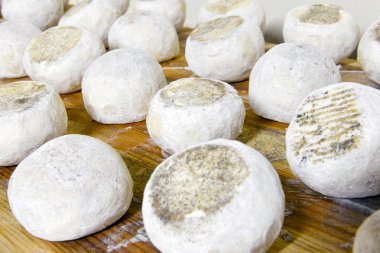 iyi olgunlaşmış keçi ve koyun peynirleri