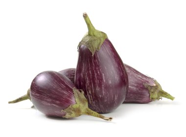 Patlıcan çeşitleri: graffiti