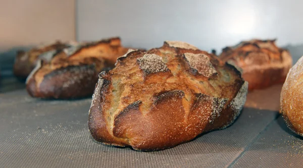 Ekmek fırında — Stok fotoğraf