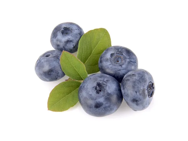 Blueberry dan daun hijau — Stok Foto