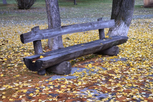 Bench in the park among yellow leaves — Stock Photo, Image