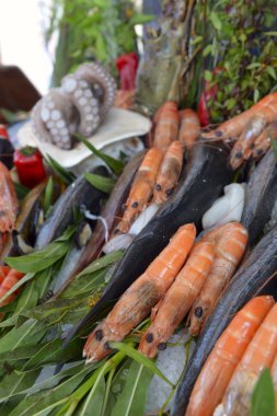 deniz mahsulleri vitrin