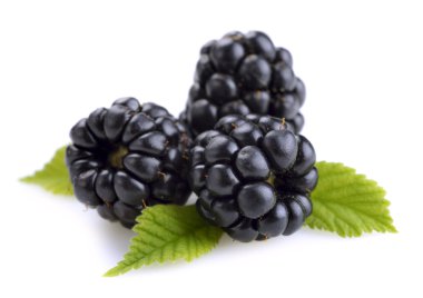 Dewberries (böğürtlen) ve yeşil yaprakları