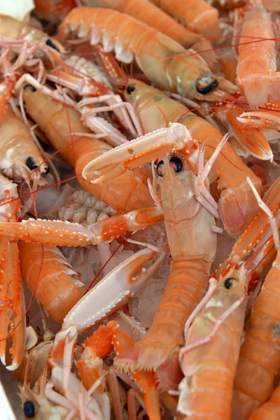 Fondo de scampi fresco para la venta — Foto de Stock