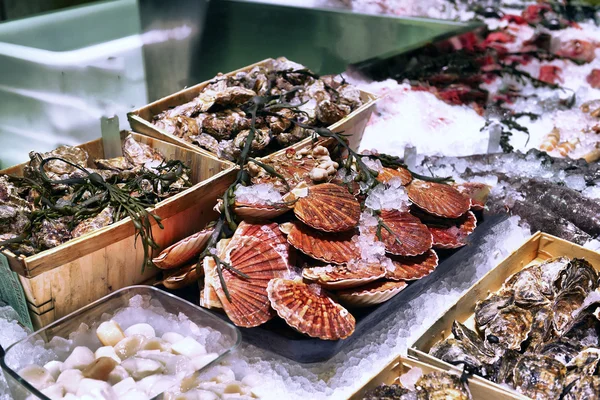 Showcase of seafood — Stock Photo, Image