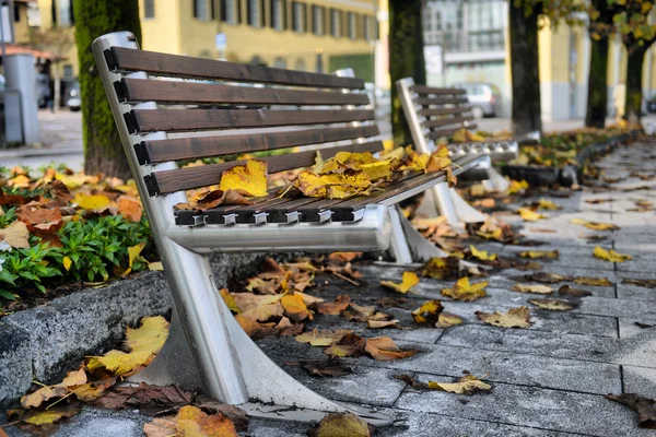 Autumn sheet on a bench — Stock Photo, Image
