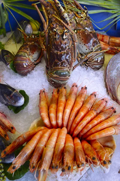 Shrimp on ice — Stock Photo, Image