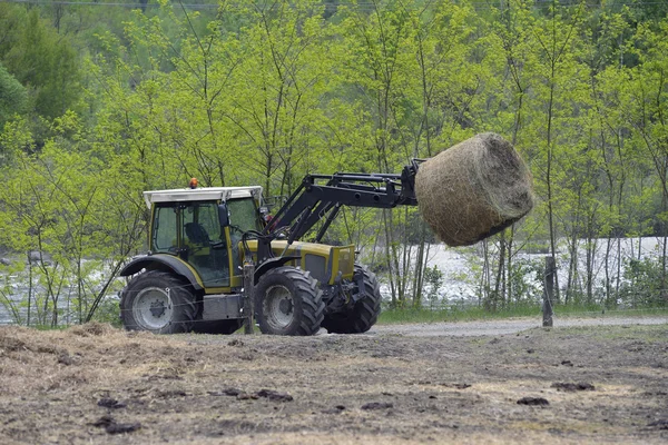 Traktor řízený seno podavač pro skot — Stock fotografie