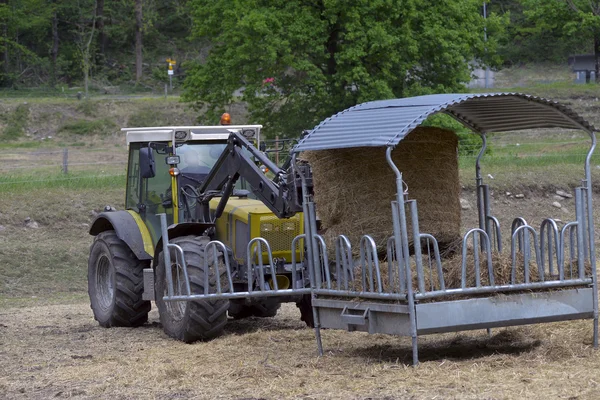 Alimentateur à foin tracteur pour bovins — Photo