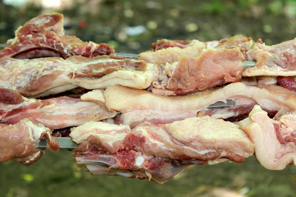 Schweinefleisch — Stockfoto