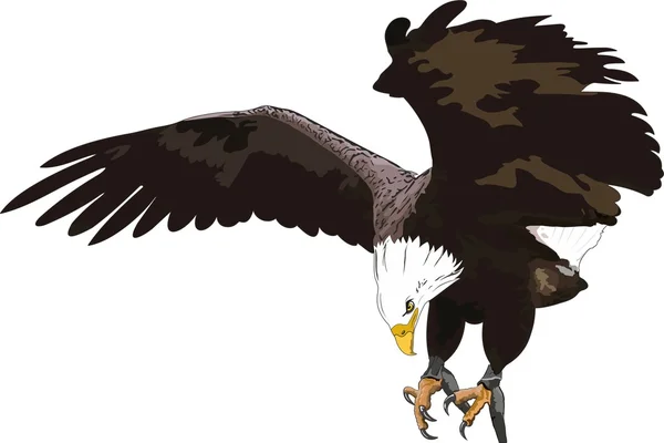 黄金の鷲 — ストックベクタ