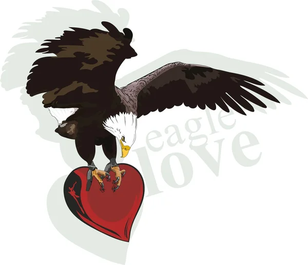 Coeur d'aigle — Image vectorielle