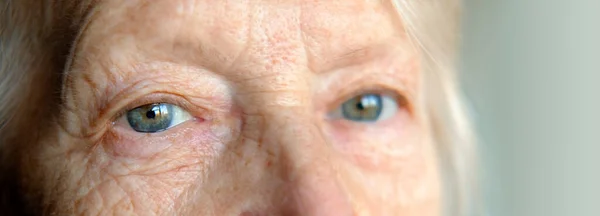 Droevige blauwe grijze ogen van een oudere vrouw die naar de camera kijkt, extreem close-up geschoten. visie en concept van de ouderen banner Stockfoto