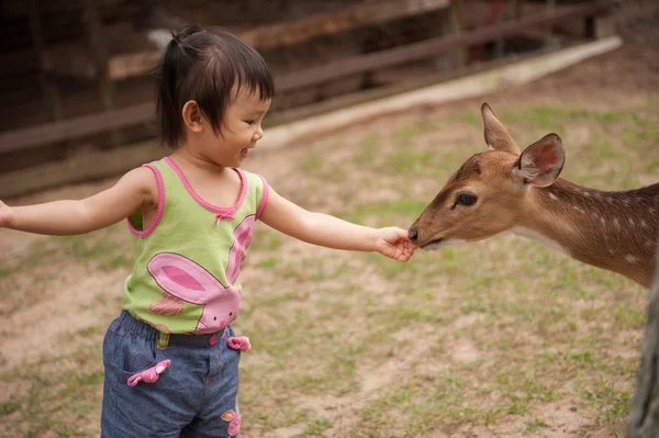 Asian toddler playing with a deer in Bukit Tinggi, Malaysia — Stock Photo, Image