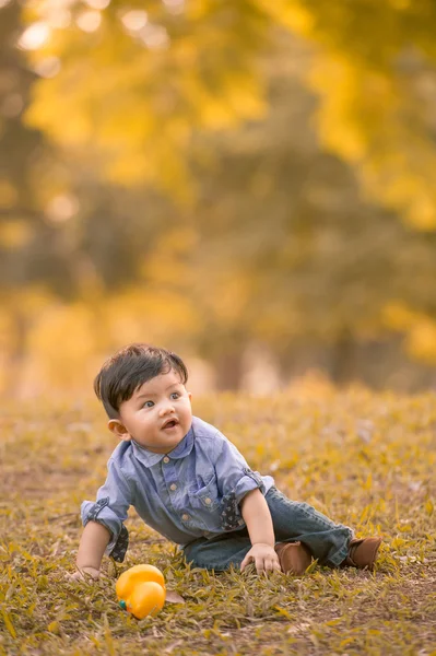 Asiático 10-meses viejo chico tener divertido al aire libre —  Fotos de Stock