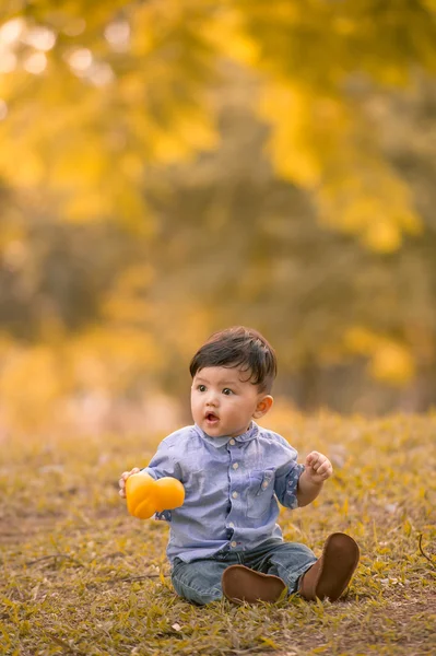 Asiático 10-meses viejo chico tener divertido al aire libre —  Fotos de Stock