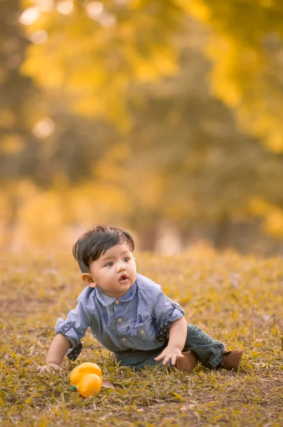 Asiático 10-meses viejo chico tener divertido al aire libre — Foto de Stock