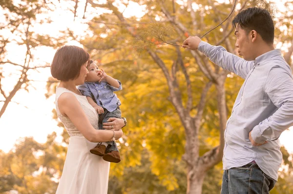 Asiatico giovane famiglia having divertimento all'aperto in autunno — Foto Stock