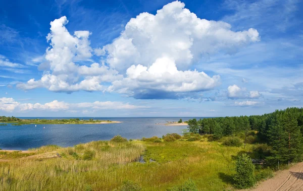 З видом на велике озеро і ліс — стокове фото