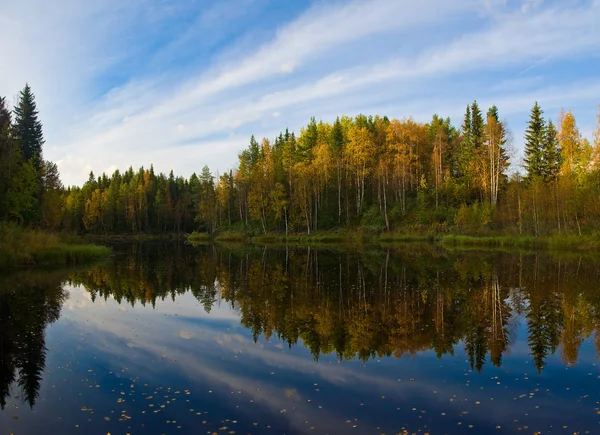 Krásný podzimní les — Stock fotografie