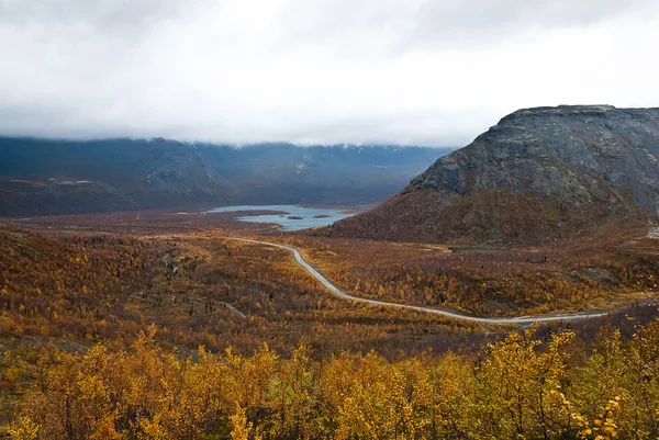 Sonbahar tundra — Stok fotoğraf