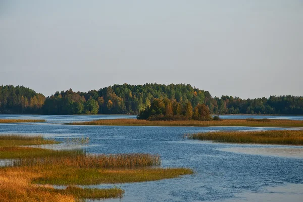 River in countryside — Stock Photo, Image