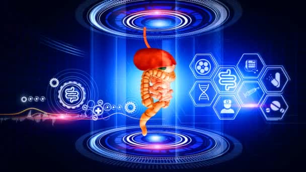 Human Digestive System Virtual Realitya Virtual Reality Graphics Showing Rotating — Stock Video