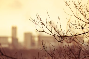 Silhouette of a city landscape