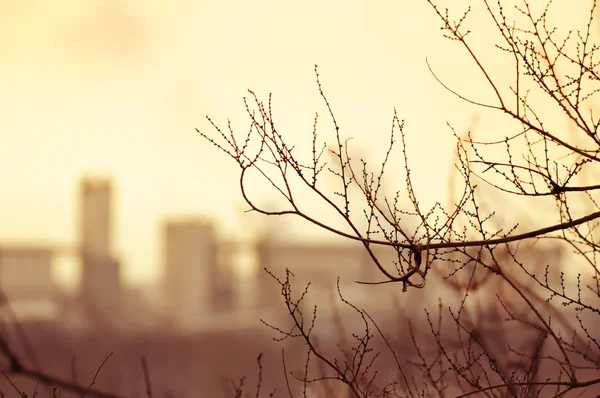 Silhouette of a city landscape