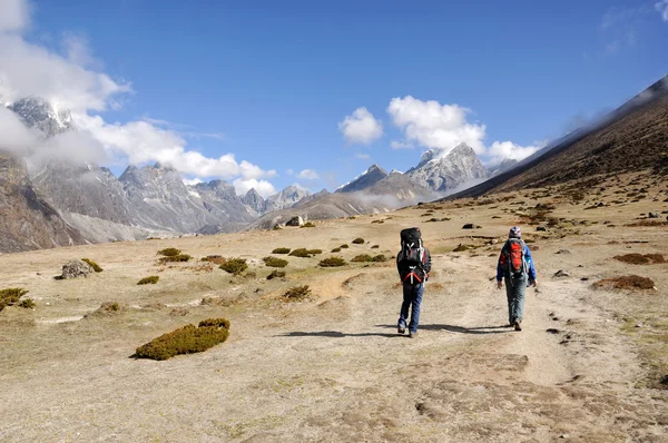 在喜马拉雅山中的跟踪 — 图库照片