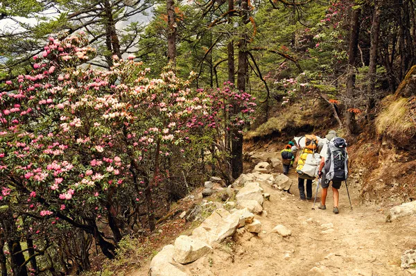 turist ve hamallar nepal dağlarında bir yolda gidiyor