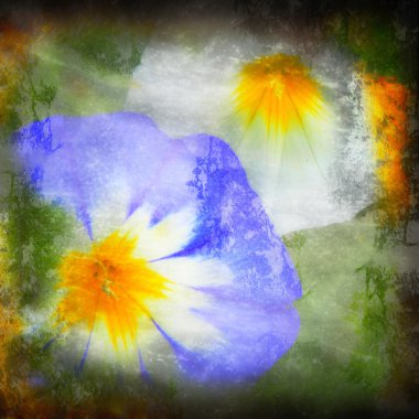 Grunge arka plan bellflowes