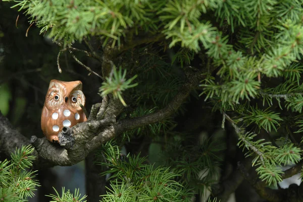 Keramický sova na větvi stromu jedle — Stock fotografie