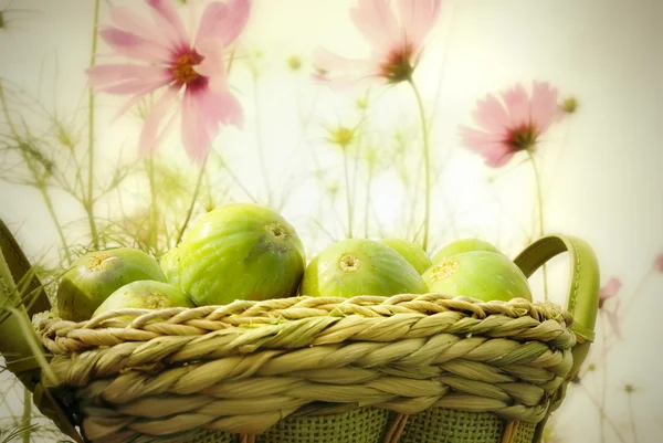 Mandje van vijgen in de tuin — Stockfoto