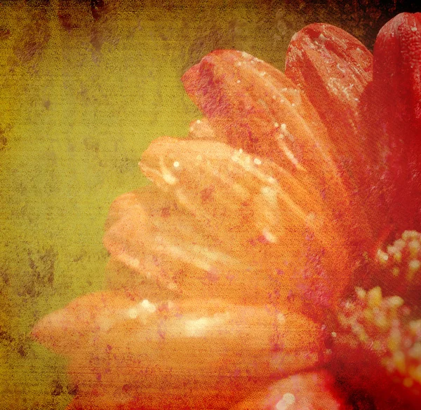 グランジの赤い花の背景 — ストック写真