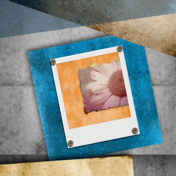 Background daisy card photo album — Stock Photo, Image