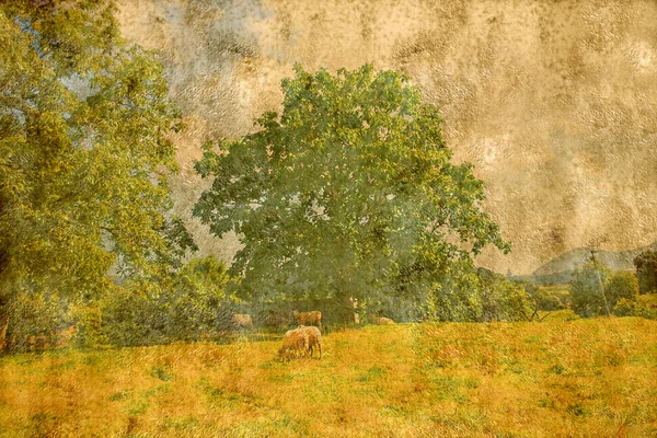 風景の羊飼いとツリーの古い紙の背景をテクスチャ — ストック写真