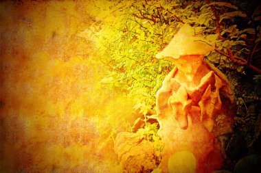 zen arka plan, eski Çin adaçayı okuma