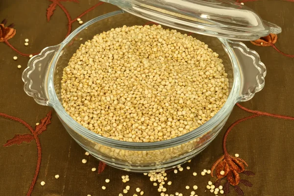 Quinoa quinua — Φωτογραφία Αρχείου